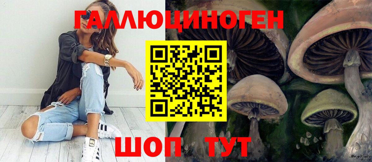 Галлюциногенные грибы Psilocybine cubensis Лыткарино